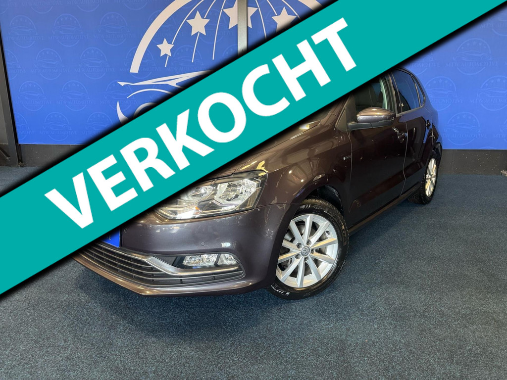 46156366-20.jpg